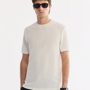 Erkek Ekru Bisiklet Yaka Pamuklu Elastan Jakarlı Regular Fit T-Shirt A61Y1032 - Premium Kalite