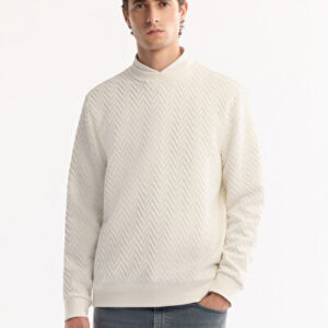 Erkek Ekru Bisiklet Yaka Dokulu Elastan Regular Fit Sweatshirt A52Y1216 - Premium Kalite