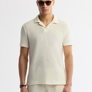Erkek Ekru Casual Apaj Yaka Çizgili Pamuklu Jakarlı Regular Fit T-Shirt A51Y1152 - Premium Kalite