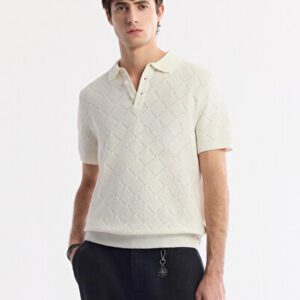 Avva 2026 Erkek Ekru Polo Yaka Pamuklu Triko Regular Fit T-Shirt A51Y5040 - Hızlı Kargo