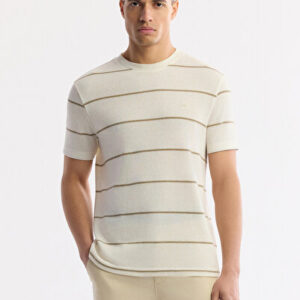 Erkek Bej Bisiklet Yaka Çizgili Pamuklu Regular Fit T-Shirt A51Y1148