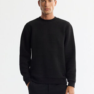 Erkek Siyah Bisiklet Yaka Baskılı Elastan Regular Fit Sweatshirt A42Y1275