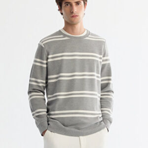 Avva Erkek Gri Bisiklet Yaka Çizgili Elastan Regular Fit Sweatshirt A42Y1292 - Premium Kalite