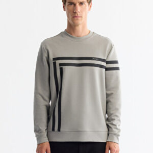 Erkek Gri Bisiklet Yaka Pamuklu Baskılı Elastan Regular Fit Sweatshirt A42Y1284 - Hediye Kutulu