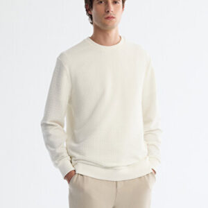 Erkek Ekru Casual Bisiklet Yaka Baskılı İnterlok Regular Fit Sweatshirt A42Y1296 | Yeni Sezon