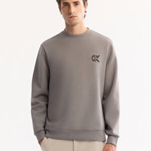 2026 Erkek Gri Bisiklet Yaka Pamuklu Bi-Stretch Basic Regular Fit Sweatshirt A52Y1328